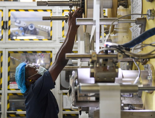 非洲觀察 極具活力的民間往來(lái)印證中非高水平合作